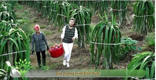 Đầu tư nông nghiệp công nghệ cao – 'chìa khóa' phát triển 'tam nông' bền vững ảnh 1